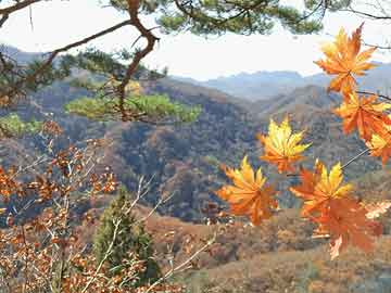 未按规定时间离开球队休息室，青岛西海岸被罚款4万元